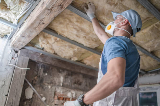 Best Specialized Insulation Services in Rosewood Heights, IL