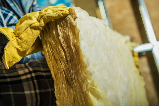 Best Eco-Friendly Insulation in Rosewood Heights, IL