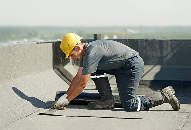 Best Residential Insulation in Rosewood Heights, IL